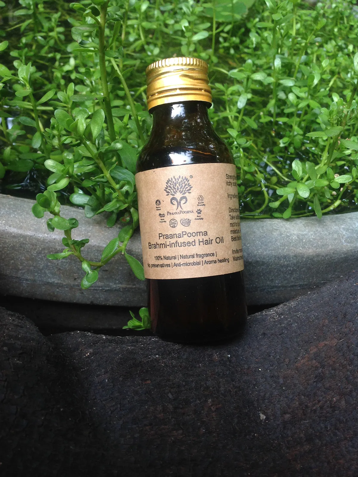 Brahmi Infused Hair Oil