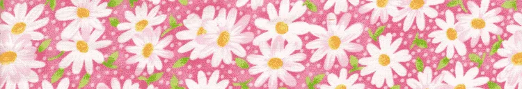 Elmo's Closet Daisies On Pink Dog Collar