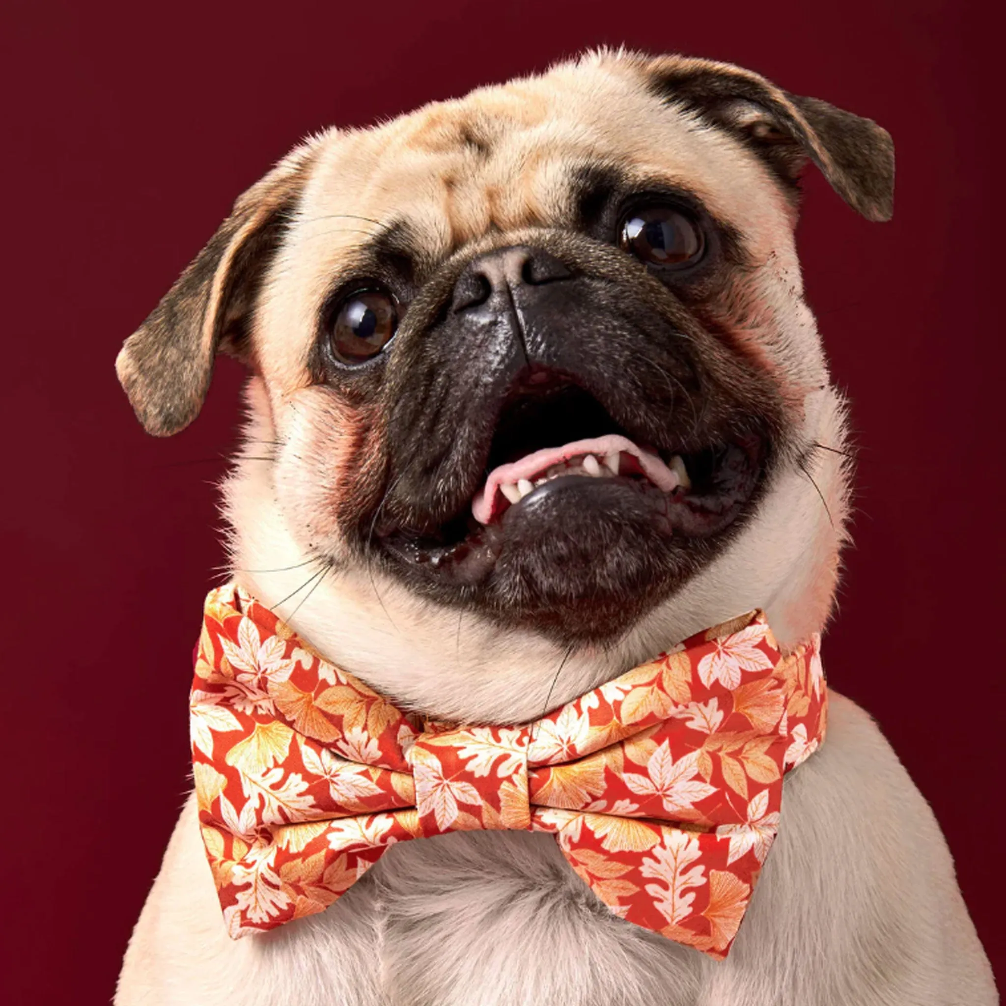 The Foggy Dog Bowtie - Autumn Leaves