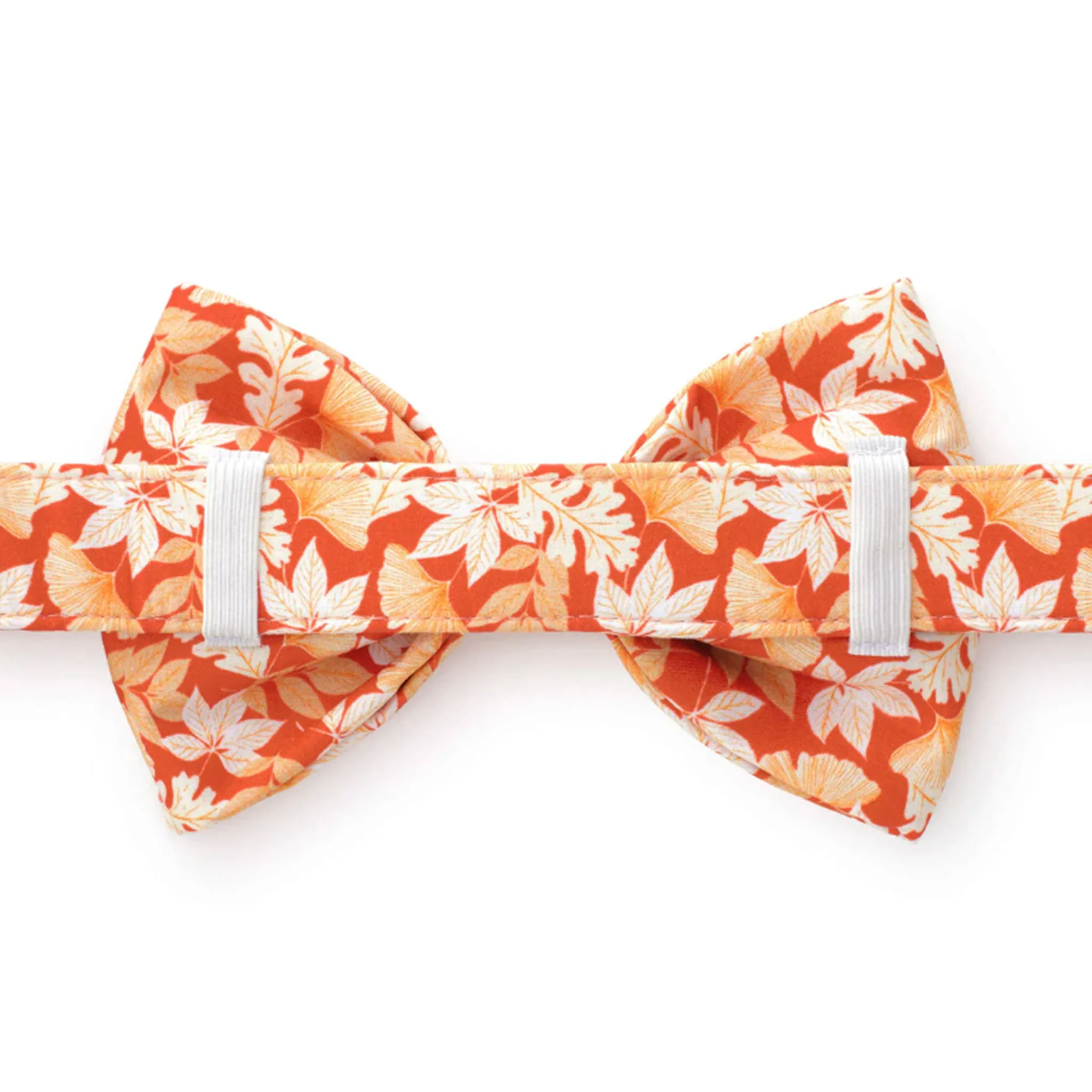 The Foggy Dog Bowtie - Autumn Leaves